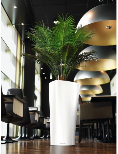 DELTA Premium, un vaso dal design pluripremiato