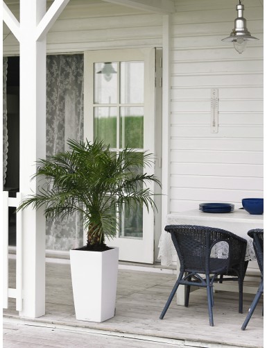 Vaso elegante CUBICO Premium