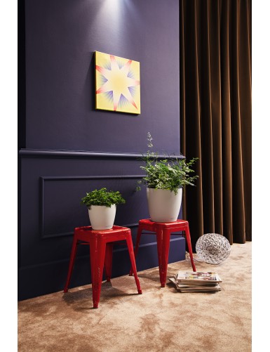 Vaso CLASSICO Color, adatto sia per spazi interni che esterni