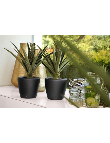 Vaso per piante CLASSICO Premium LS