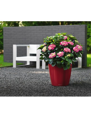 Vaso per piante CLASSICO Premium LS