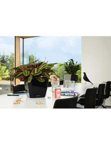 QUADRO Premium LS si adatta ad ogni spazio e arredamento