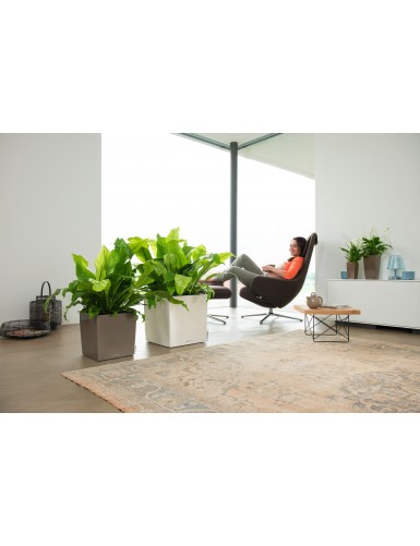 Vaso di forma cubica CUBO Premium