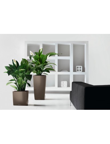 Vaso di forma cubica CUBO Premium