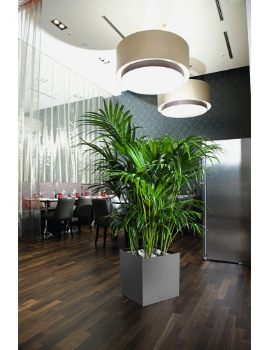 Vaso di forma cubica CUBO Premium