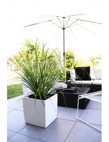 Vaso di forma cubica CUBO Premium