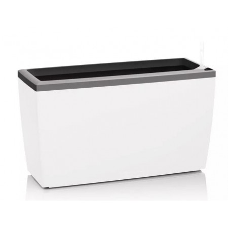Cornice per CARARO