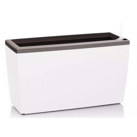 Cornice per CARARO
