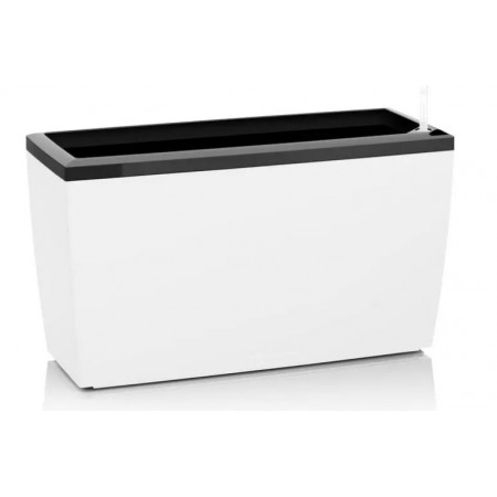 Cornice per CARARO
