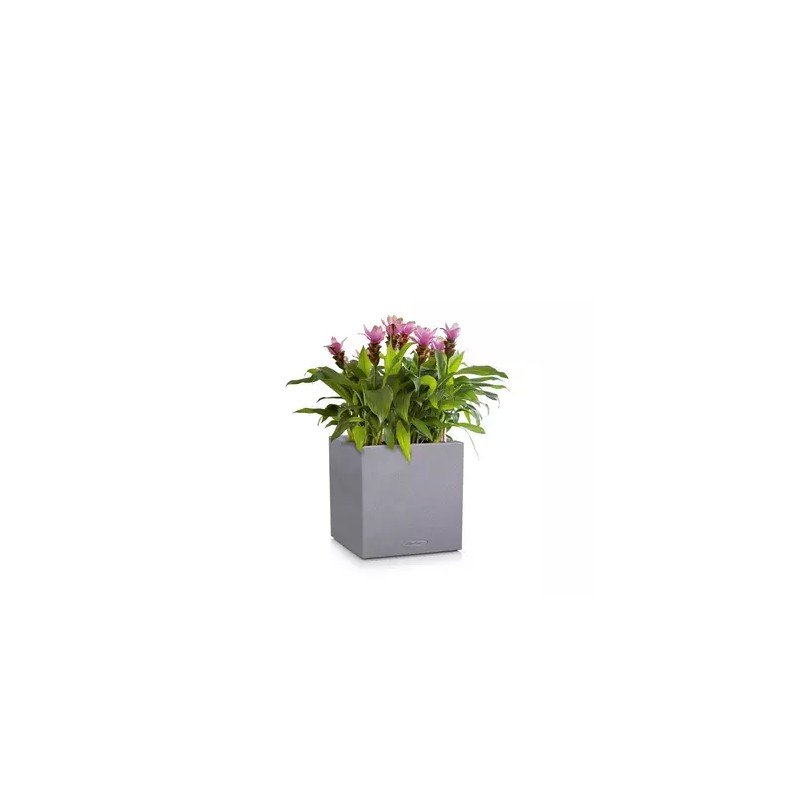 Vaso CANTO Stone Low, linee essenziali