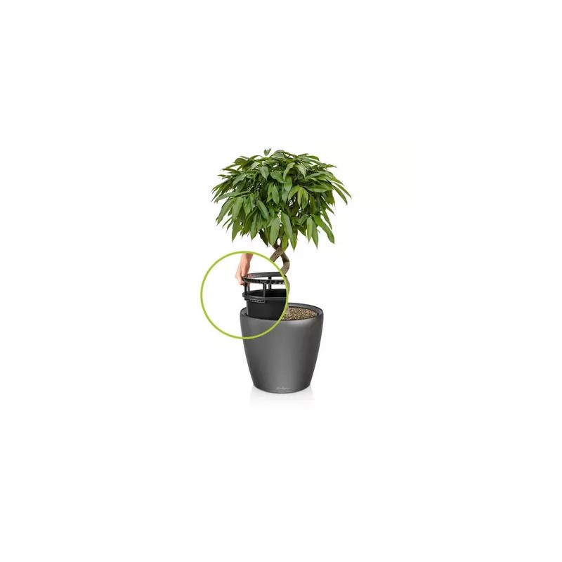 Vaso per piante CLASSICO Premium LS