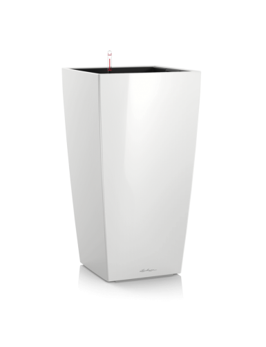 Vaso elegante CUBICO Premium