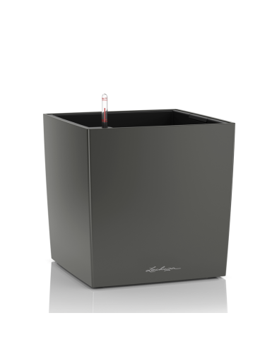Vaso di forma cubica CUBO Premium