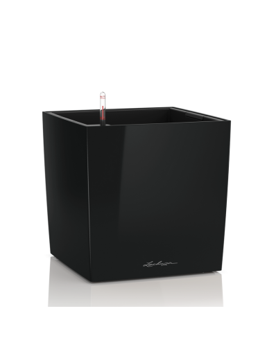 Vaso di forma cubica CUBO Premium