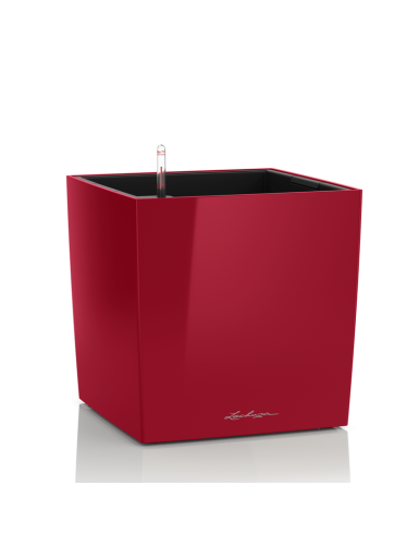 Vaso di forma cubica CUBO Premium