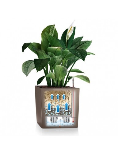 Vaso di forma cubica CUBO Premium