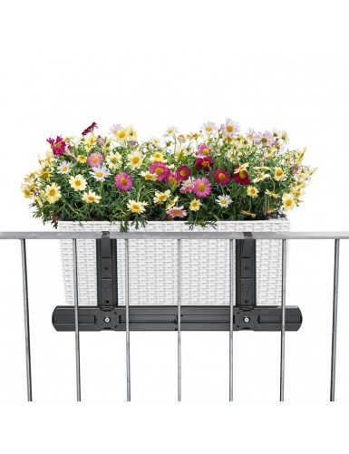 Supporto per BALCONERA