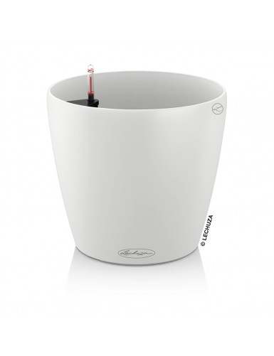 Vaso CLASSICO Color, adatto sia per spazi interni che esterni