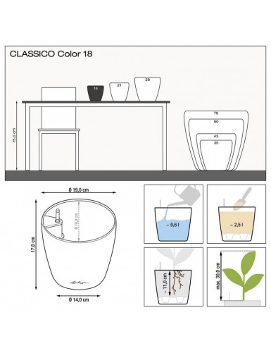 Vaso CLASSICO Color, adatto sia per spazi interni che esterni