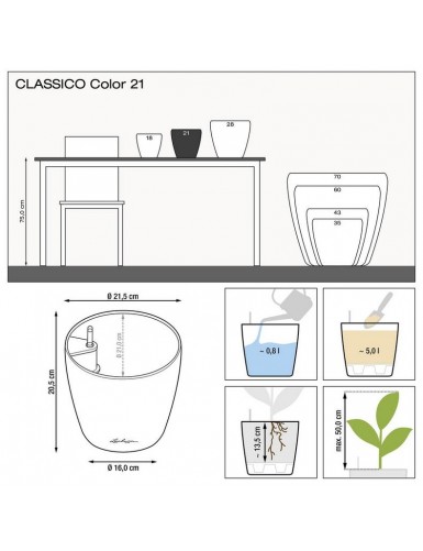 Vaso CLASSICO Color, adatto sia per spazi interni che esterni