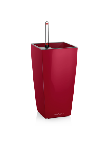 Vasi da tavolo MINI-CUBI e MAXI-CUBI