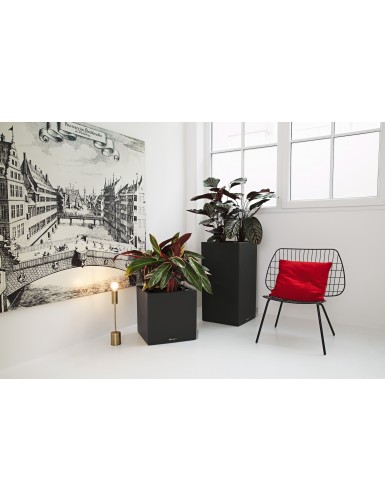 Vaso CANTO Stone Low, linee essenziali