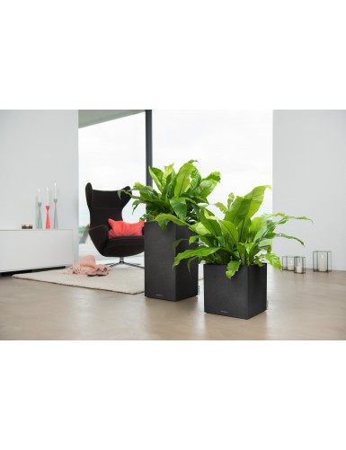 Vaso CANTO Stone Low, linee essenziali