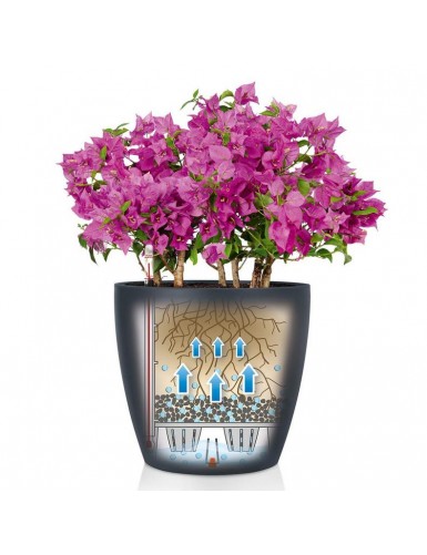 Vaso CLASSICO Color, adatto sia per spazi interni che esterni
