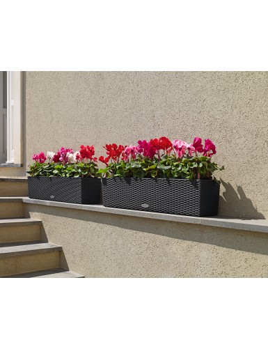 BALCONERA Cottage - Fioriera da interno e esterno