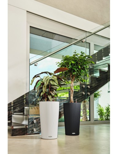 Vaso CILINDRO Color, ideale sia per interni che esterni