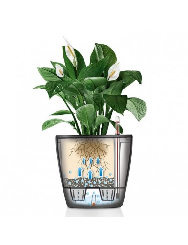Vaso per piante CLASSICO Premium LS
