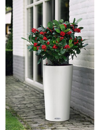 Vaso CILINDRO Color, ideale sia per interni che esterni